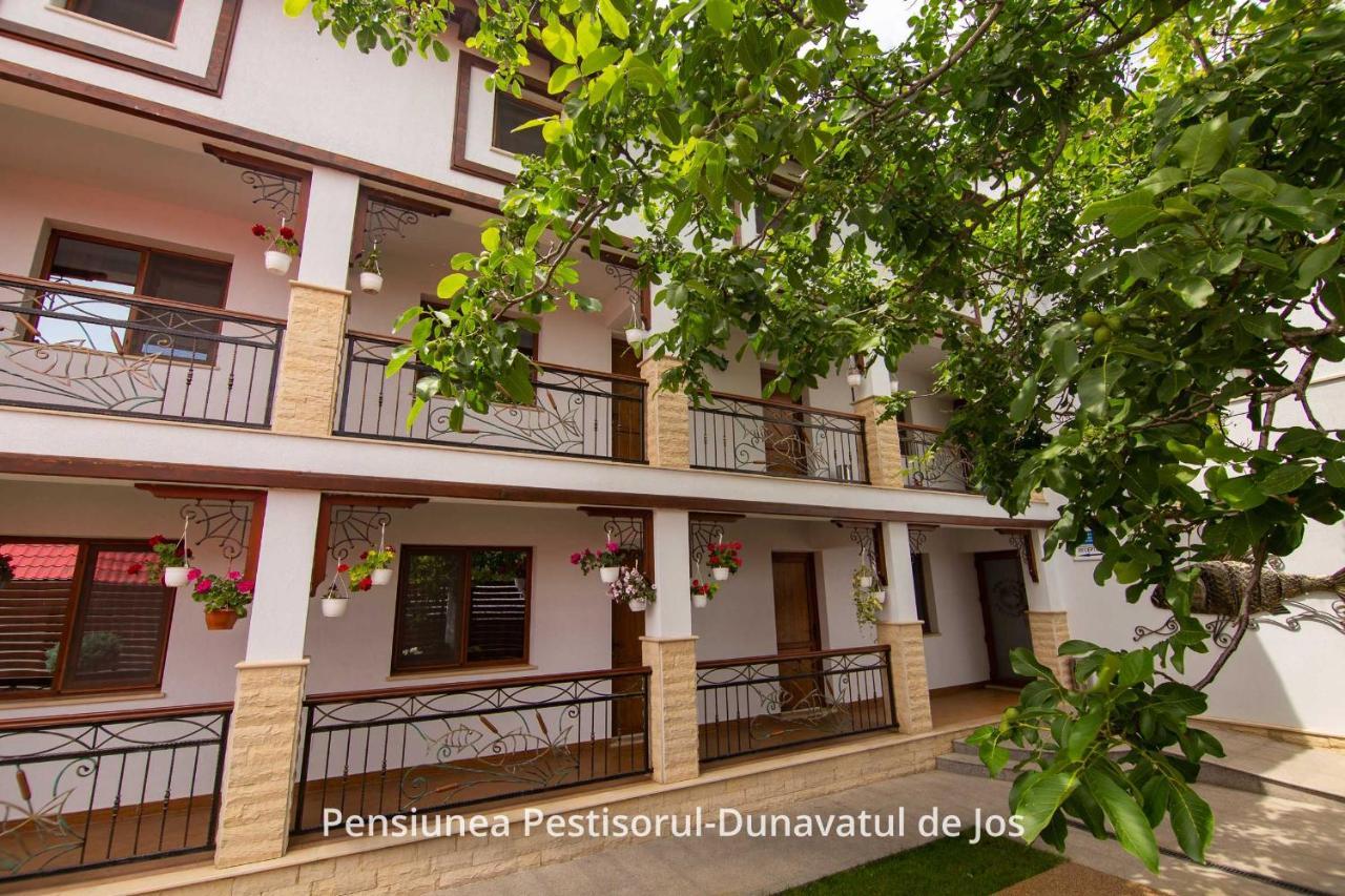 Pensiunea Pestisorul Dunavăţu de Jos 外观 照片