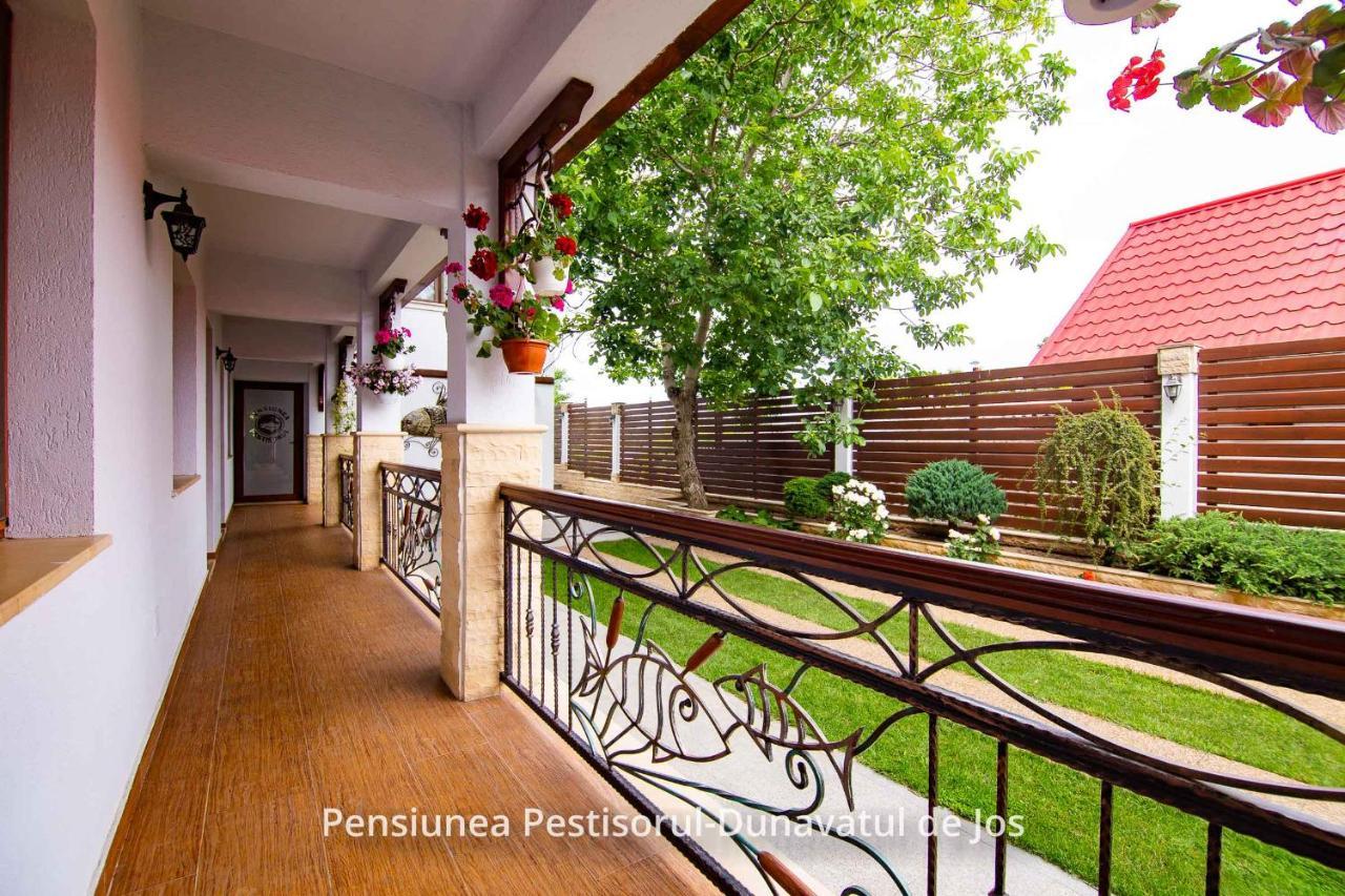 Pensiunea Pestisorul Dunavăţu de Jos 外观 照片