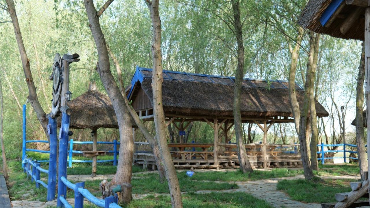 Pensiunea Pestisorul Dunavăţu de Jos 外观 照片